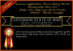 Customade State Of Mind.png
